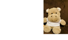 Load image into Gallery viewer, Plush Animals with T-Shirts