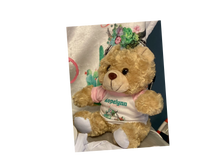 Load image into Gallery viewer, Plush Animals with T-Shirts