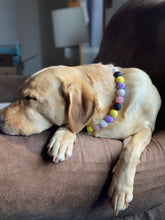 Load image into Gallery viewer, Custom Beaded Pet Collar