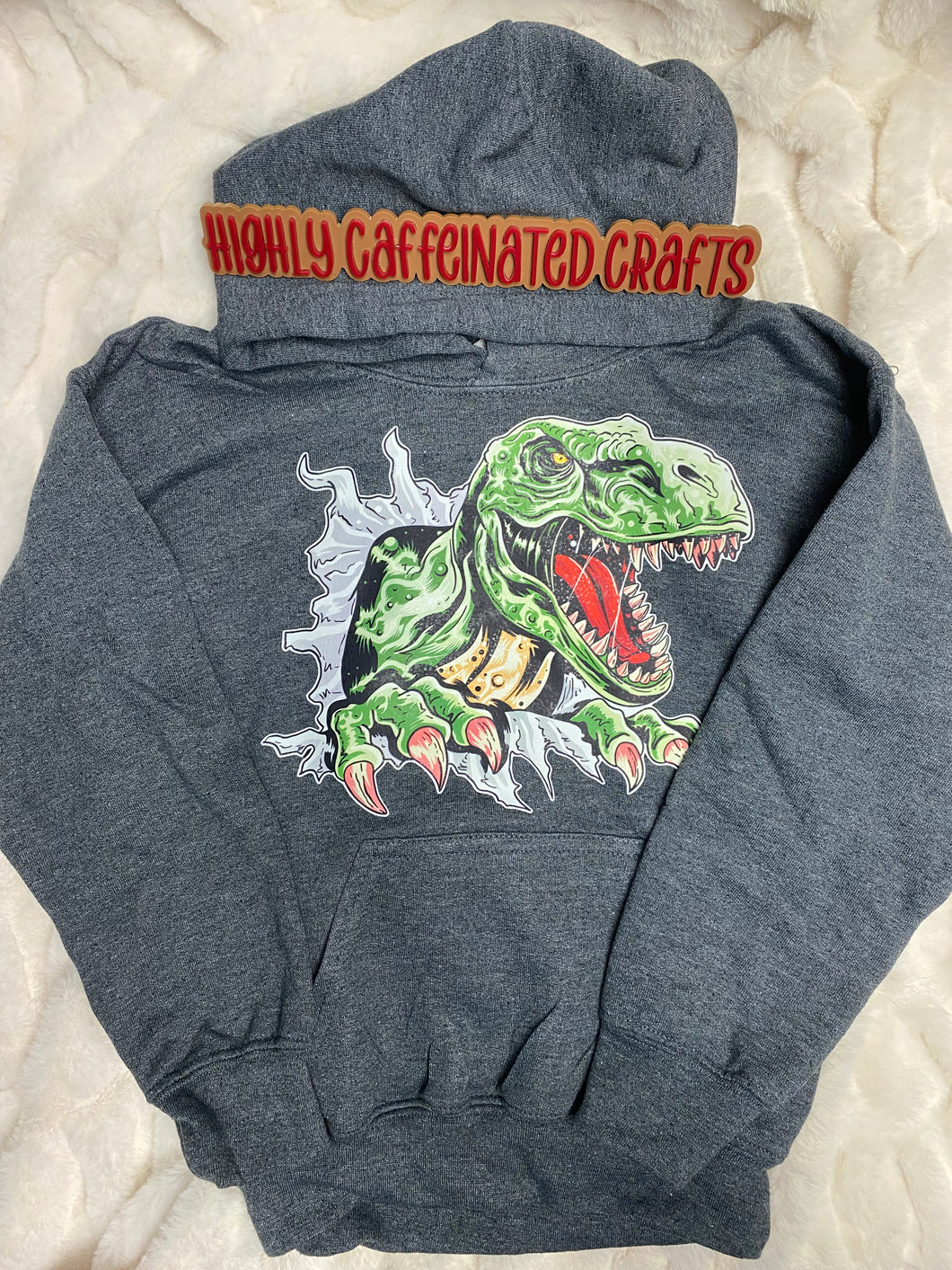 Dino Sweatshirt Youth